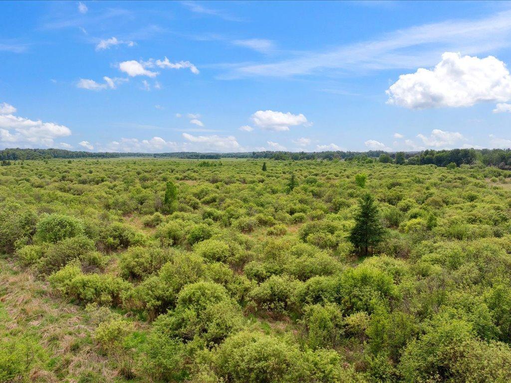 25935 310th Street Sebeka, MN 56477 - Photo 22 of 32