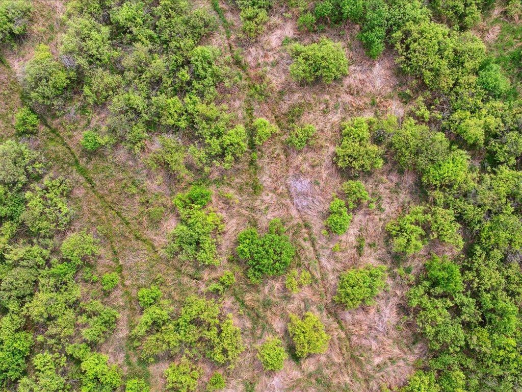 25935 310th Street Sebeka, MN 56477 - Photo 24 of 32