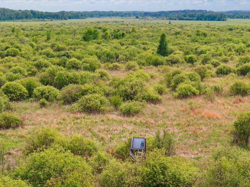 25935 310th Street Sebeka, MN 56477 - Photo 26 of 32