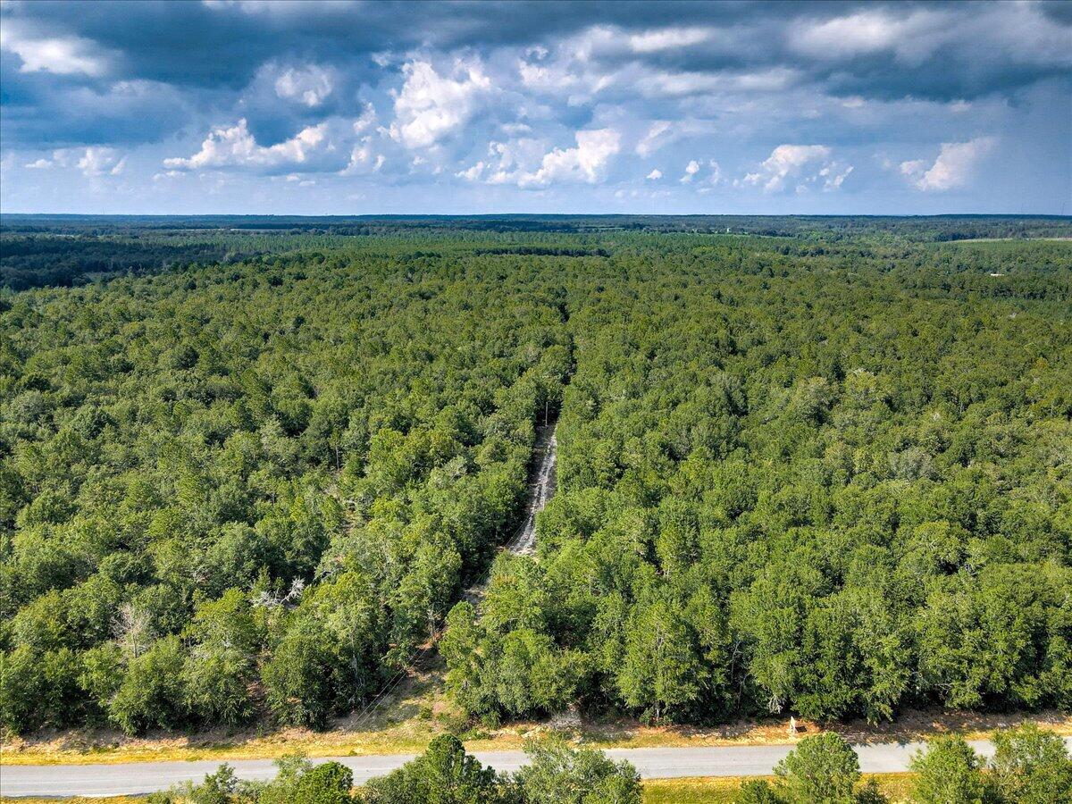 0 Millers Pond Road, Unit 4 Salley, SC 29137 - Photo 16 of 18