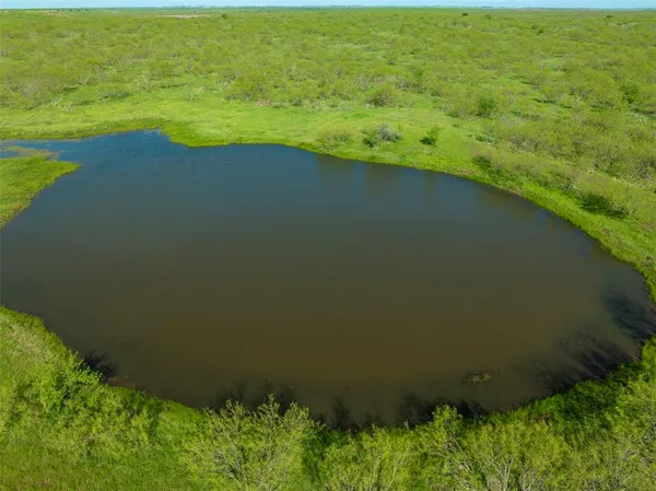 a view of a lake from a yard