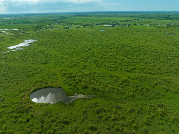 a view of a lush green space
