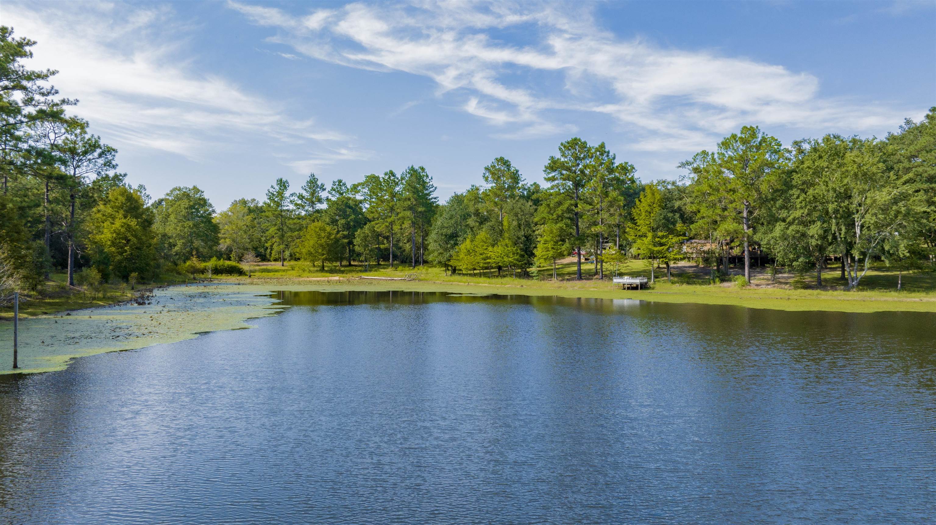 40680 Dogwood Fork Road Bay Minette, AL 36507 - Photo 4 of 41