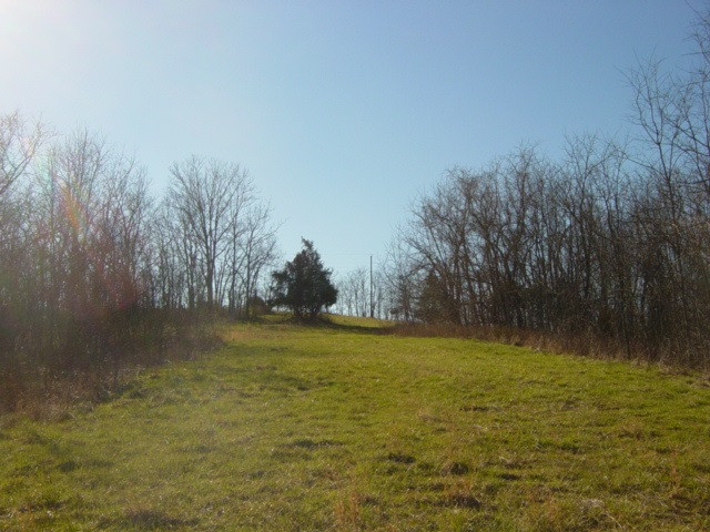 1339 Chaney Road Brooksville, KY 41004 - Photo 2 of 18 Gallery Image 2