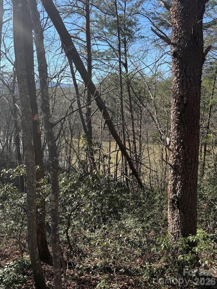 0 Canoe Drive, Unit 44 Mill Spring, NC 28756 - Photo 11 of 27