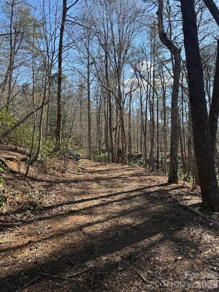 0 Canoe Drive, Unit 44 Mill Spring, NC 28756 - Photo 12 of 27