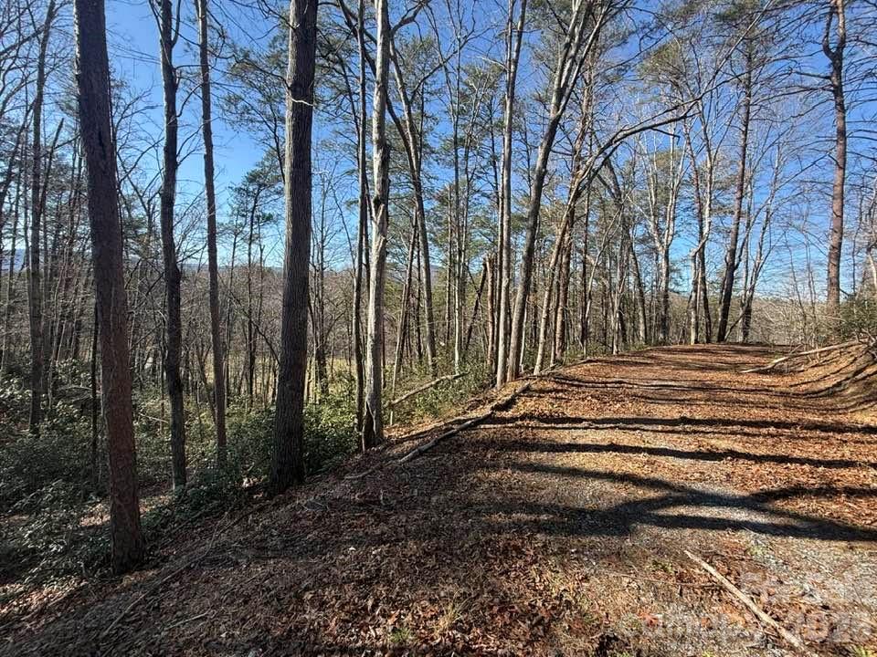 0 Canoe Drive, Unit 44 Mill Spring, NC 28756 - Photo 14 of 27