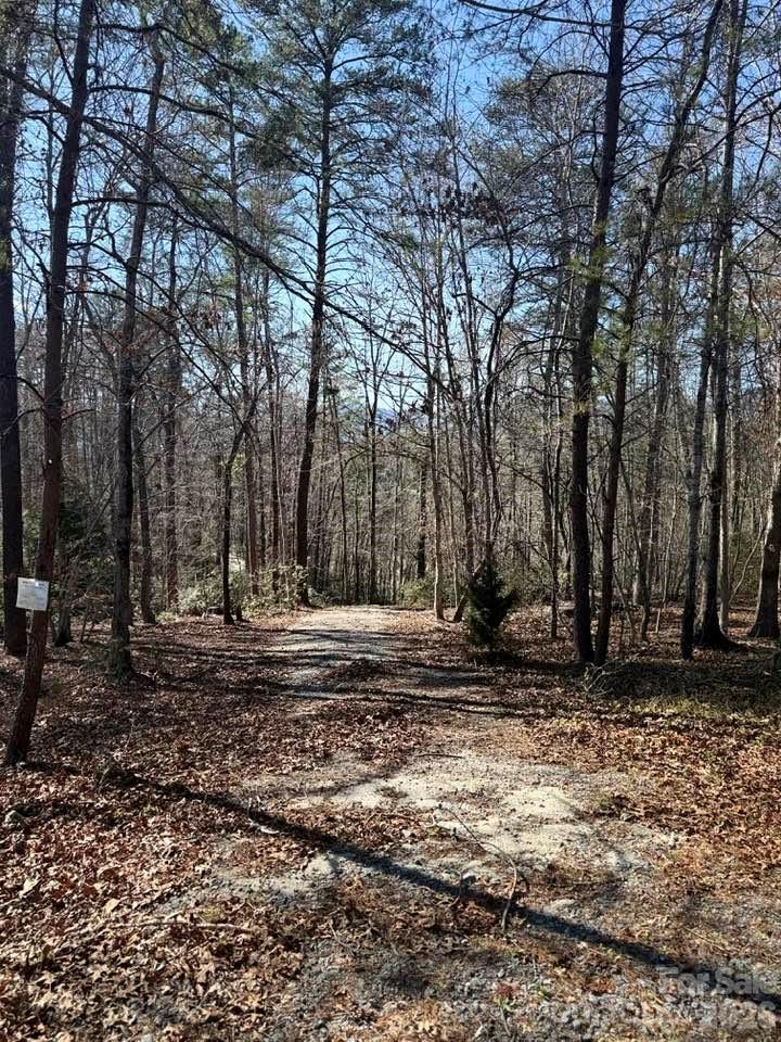 0 Canoe Drive, Unit 44 Mill Spring, NC 28756 - Photo 15 of 27