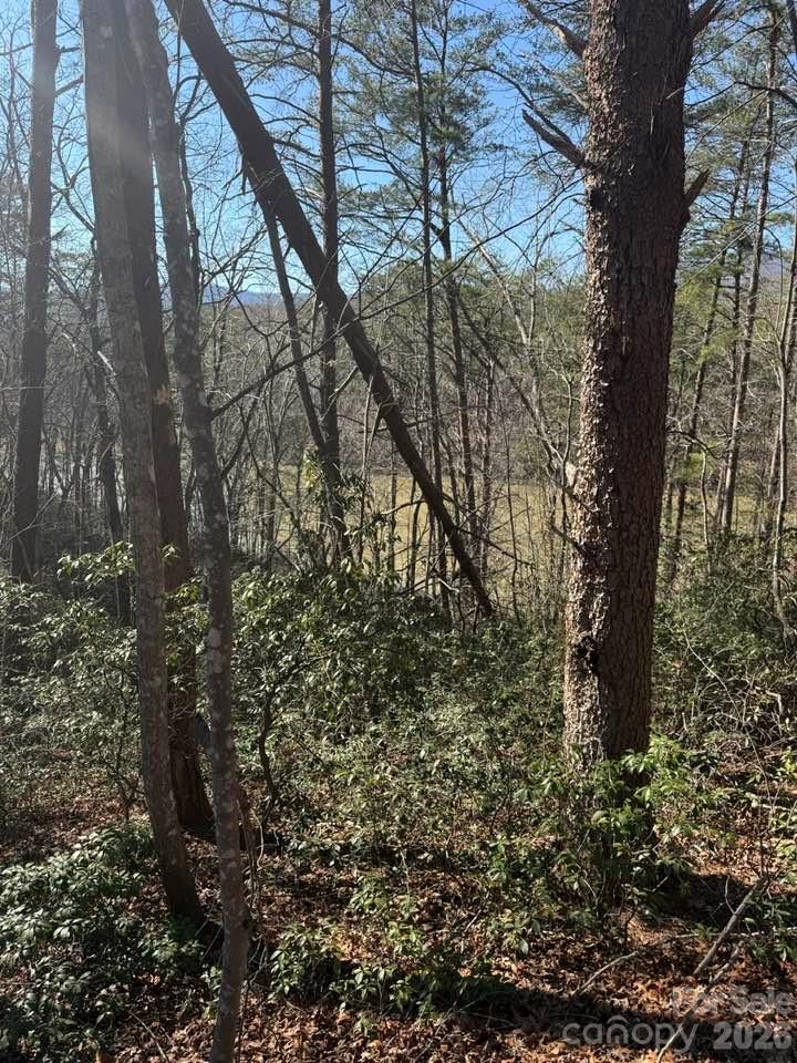 0 Canoe Drive, Unit 44 Mill Spring, NC 28756 - Photo 19 of 27