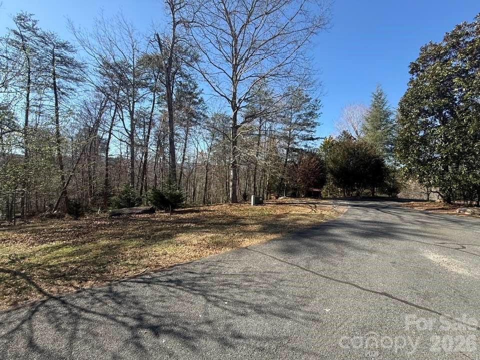 0 Canoe Drive, Unit 44 Mill Spring, NC 28756 - Photo 20 of 27