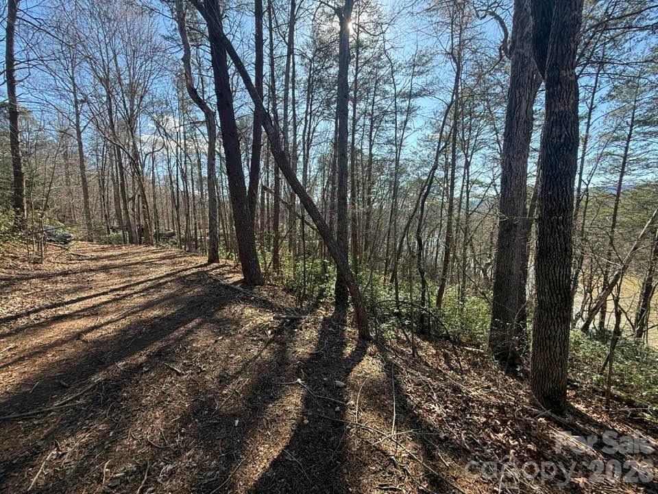 0 Canoe Drive, Unit 44 Mill Spring, NC 28756 - Photo 21 of 27
