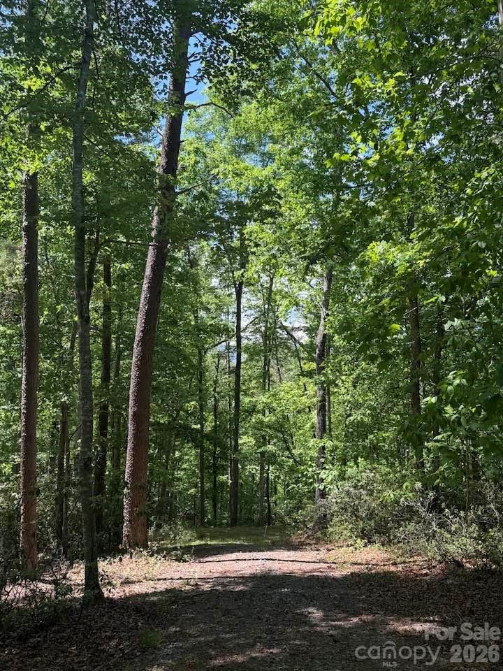 0 Canoe Drive, Unit 44 Mill Spring, NC 28756 - Photo 21 of 34 a view of a yard