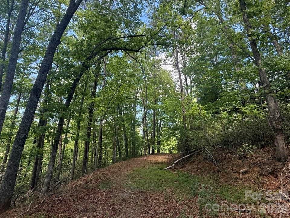 0 Canoe Drive, Unit 44 Mill Spring, NC 28756 - Photo 23 of 34 a big yard with lots of green space and trees