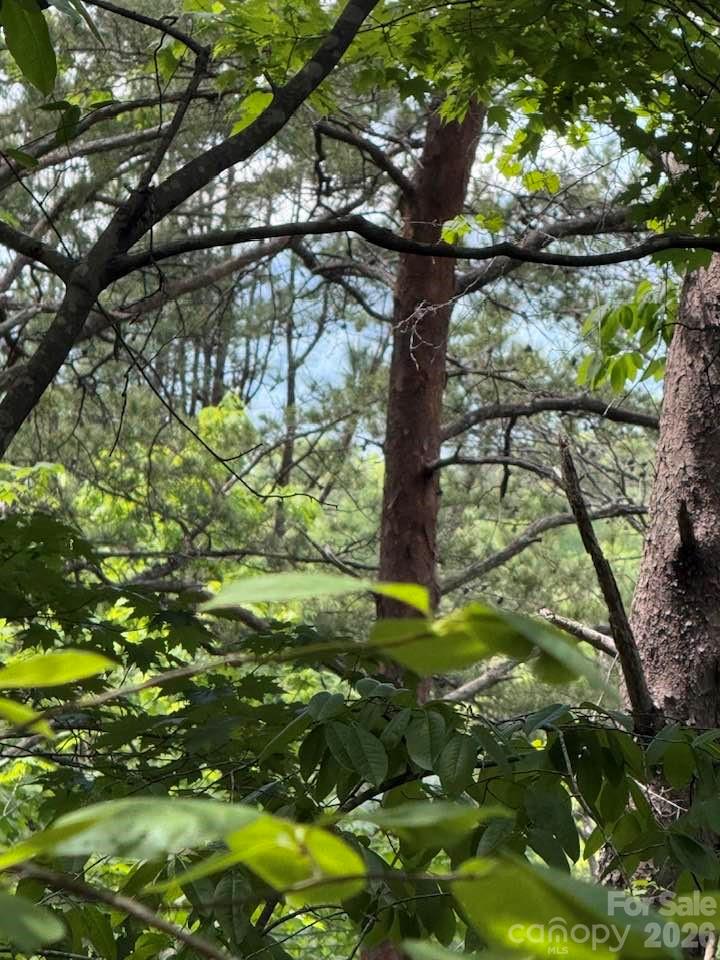 0 Canoe Drive, Unit 44 Mill Spring, NC 28756 - Photo 26 of 34 a backyard of a tree