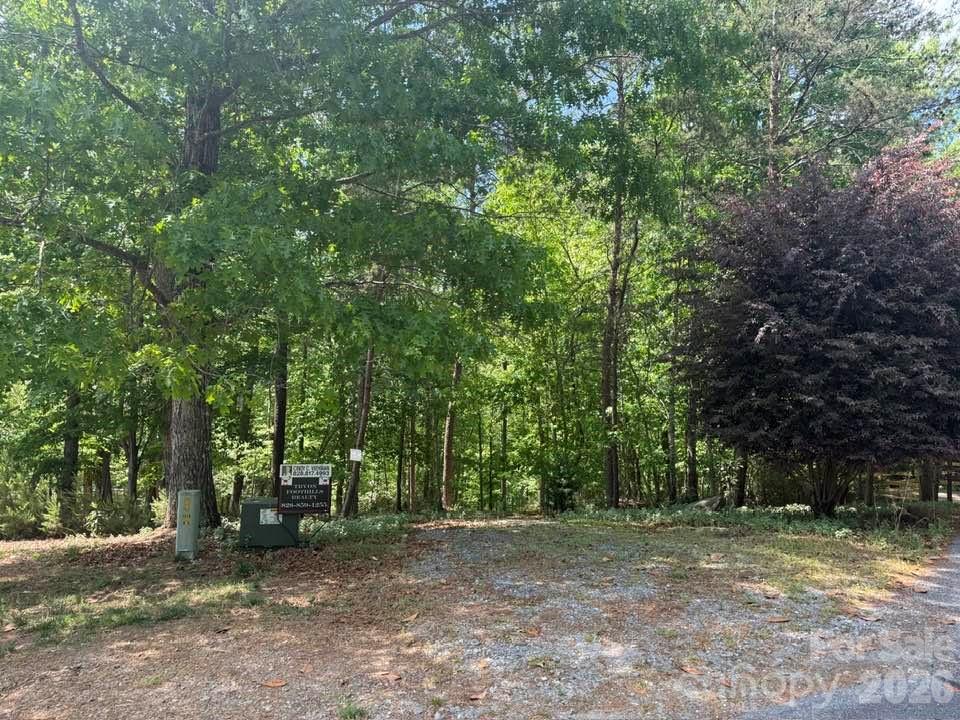 0 Canoe Drive, Unit 44 Mill Spring, NC 28756 - Photo 3 of 34 a view of a forest with trees in the background