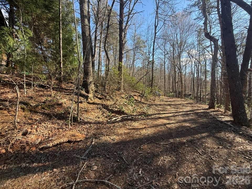 0 Canoe Drive, Unit 44 Mill Spring, NC 28756 - Photo 4 of 27