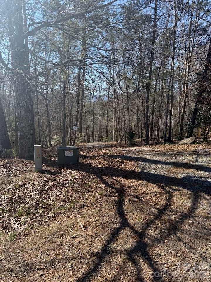 0 Canoe Drive, Unit 44 Mill Spring, NC 28756 - Photo 5 of 27