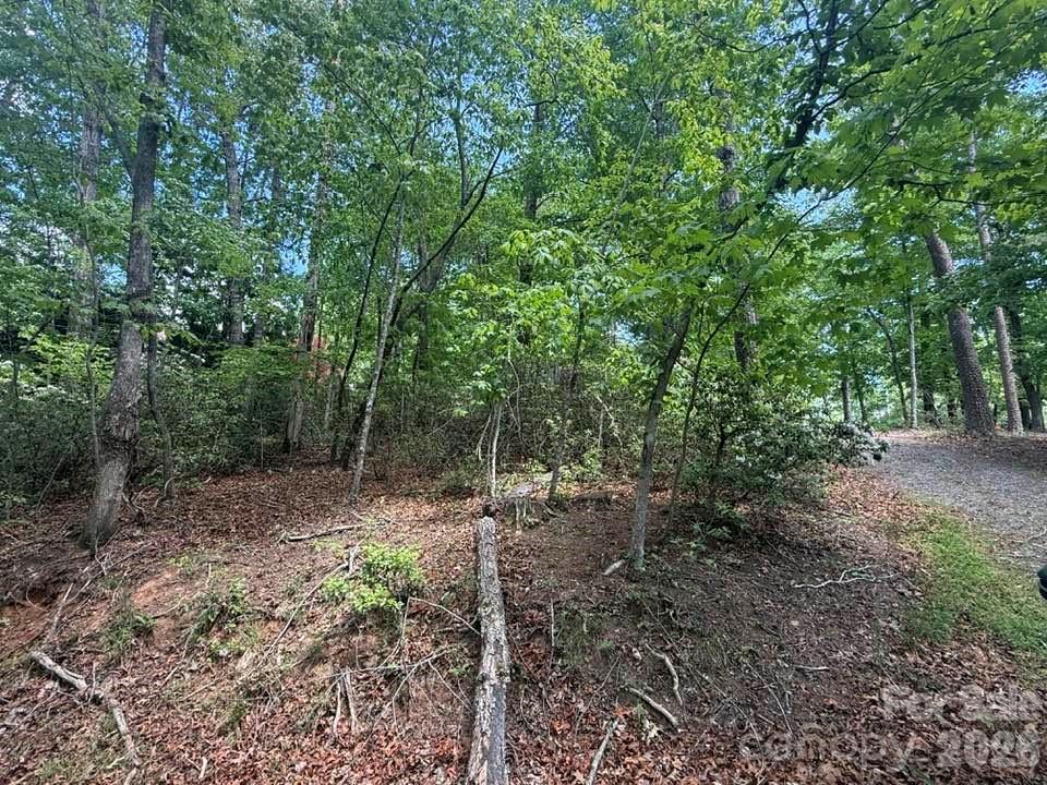 0 Canoe Drive, Unit 44 Mill Spring, NC 28756 - Photo 5 of 34 a view of a forest filled with trees