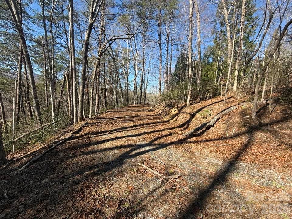0 Canoe Drive, Unit 44 Mill Spring, NC 28756 - Photo 6 of 27