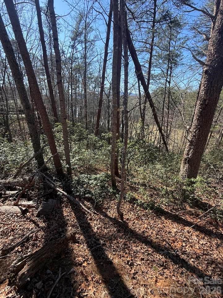 0 Canoe Drive, Unit 44 Mill Spring, NC 28756 - Photo 7 of 27