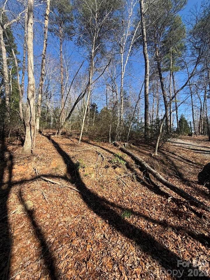 0 Canoe Drive, Unit 44 Mill Spring, NC 28756 - Photo 8 of 27