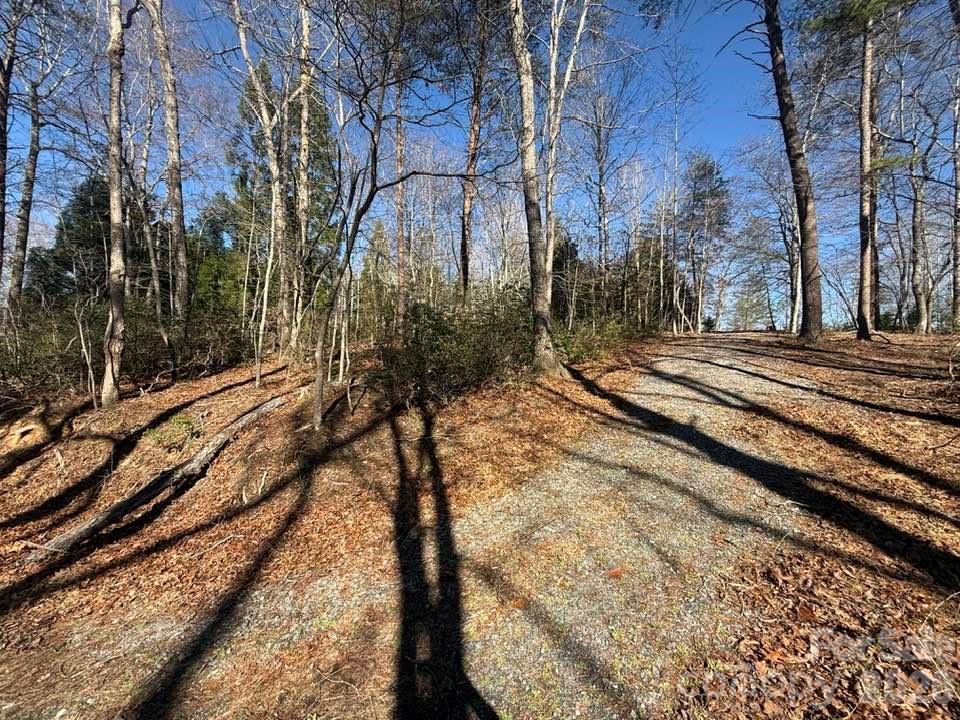 0 Canoe Drive, Unit 44 Mill Spring, NC 28756 - Photo 10 of 27
