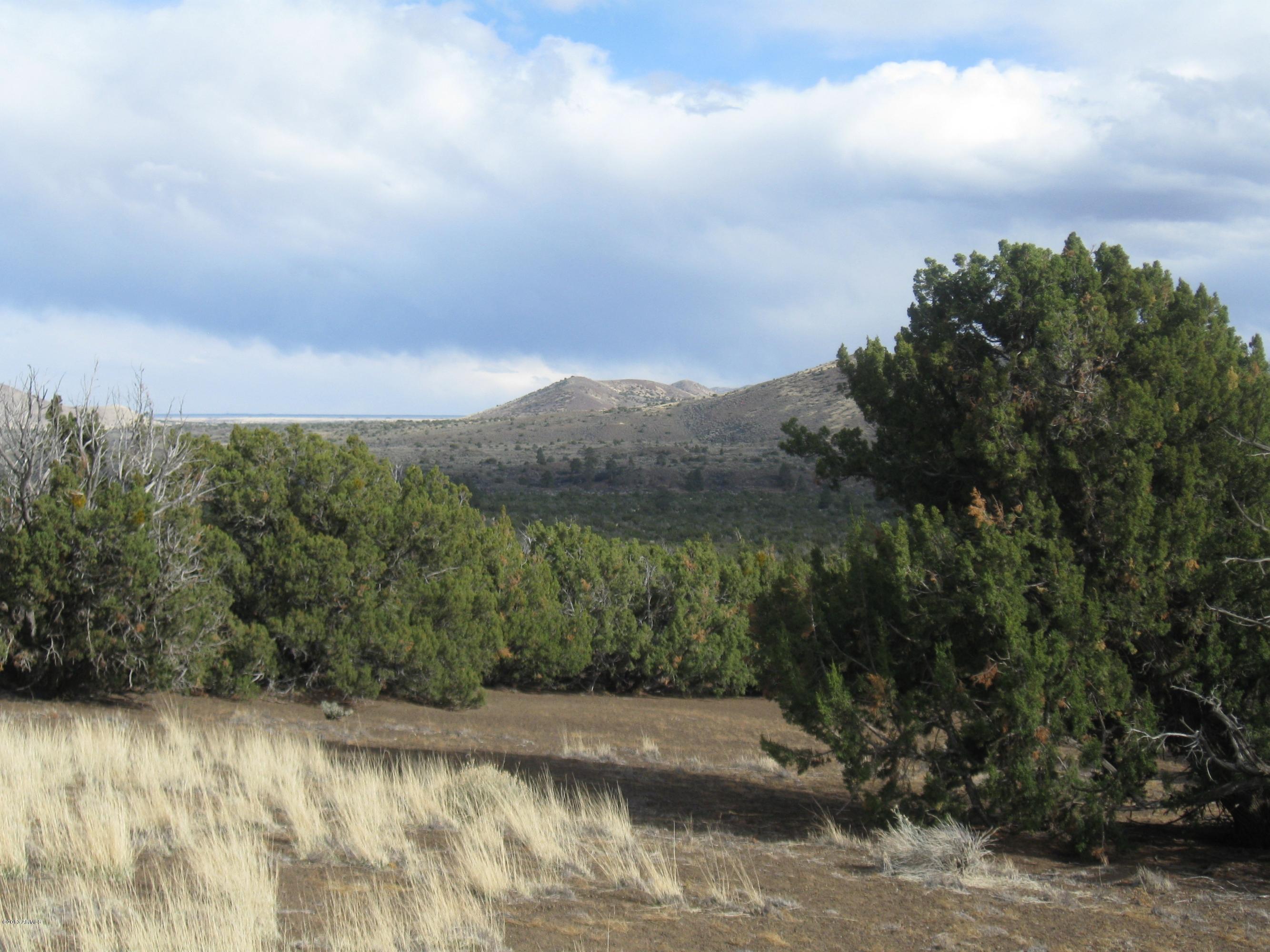 43007 A Alpine Ranches, Unit 11 Flagstaff, AZ 86004 - Photo 1 of 6 303-43-007-A Eastman parcel 5-2013 001 -