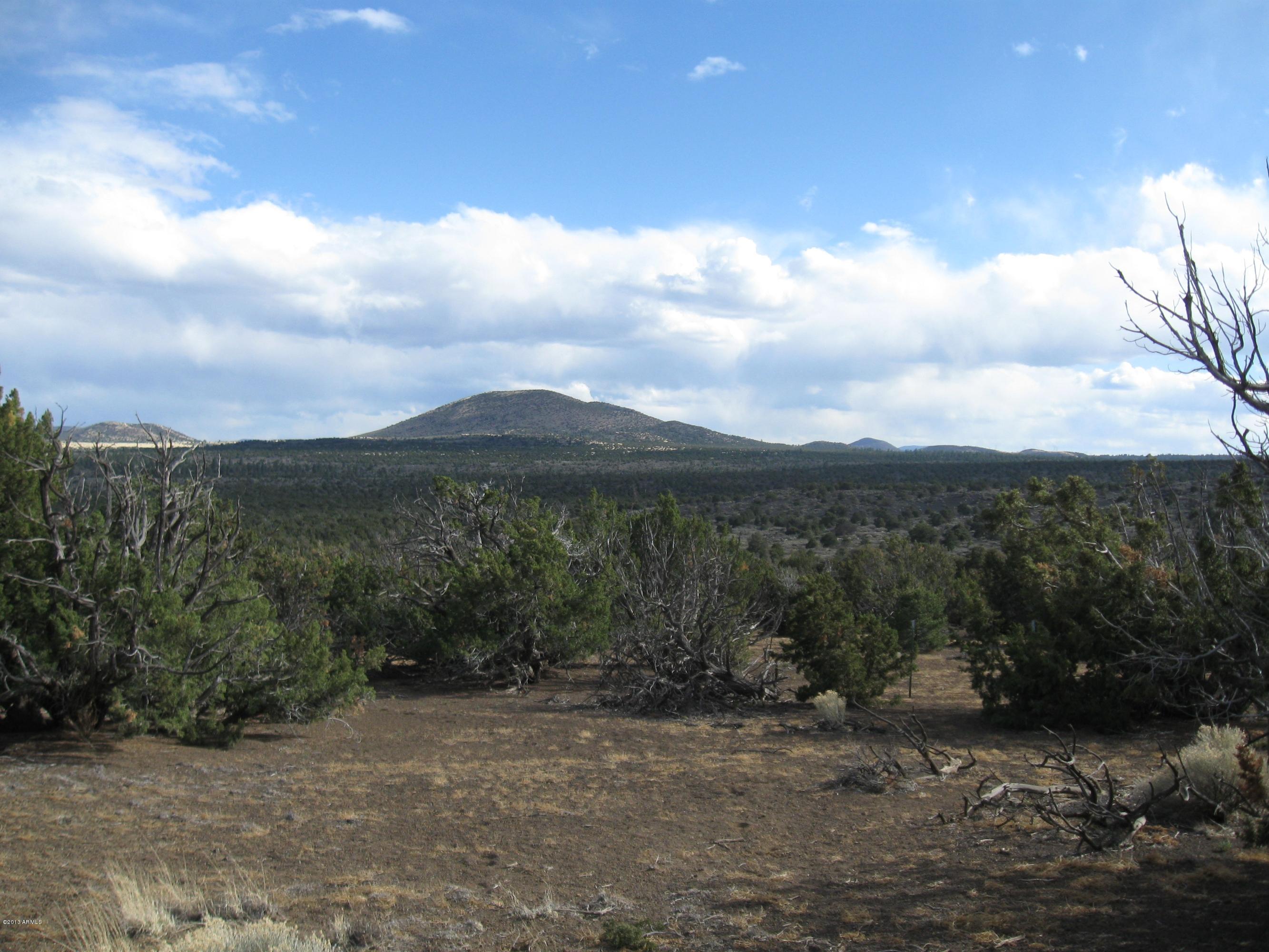43007 A Alpine Ranches, Unit 11 Flagstaff, AZ 86004 - Photo 2 of 6 303-43-007-A Eastman parcel 5-2013 002 -