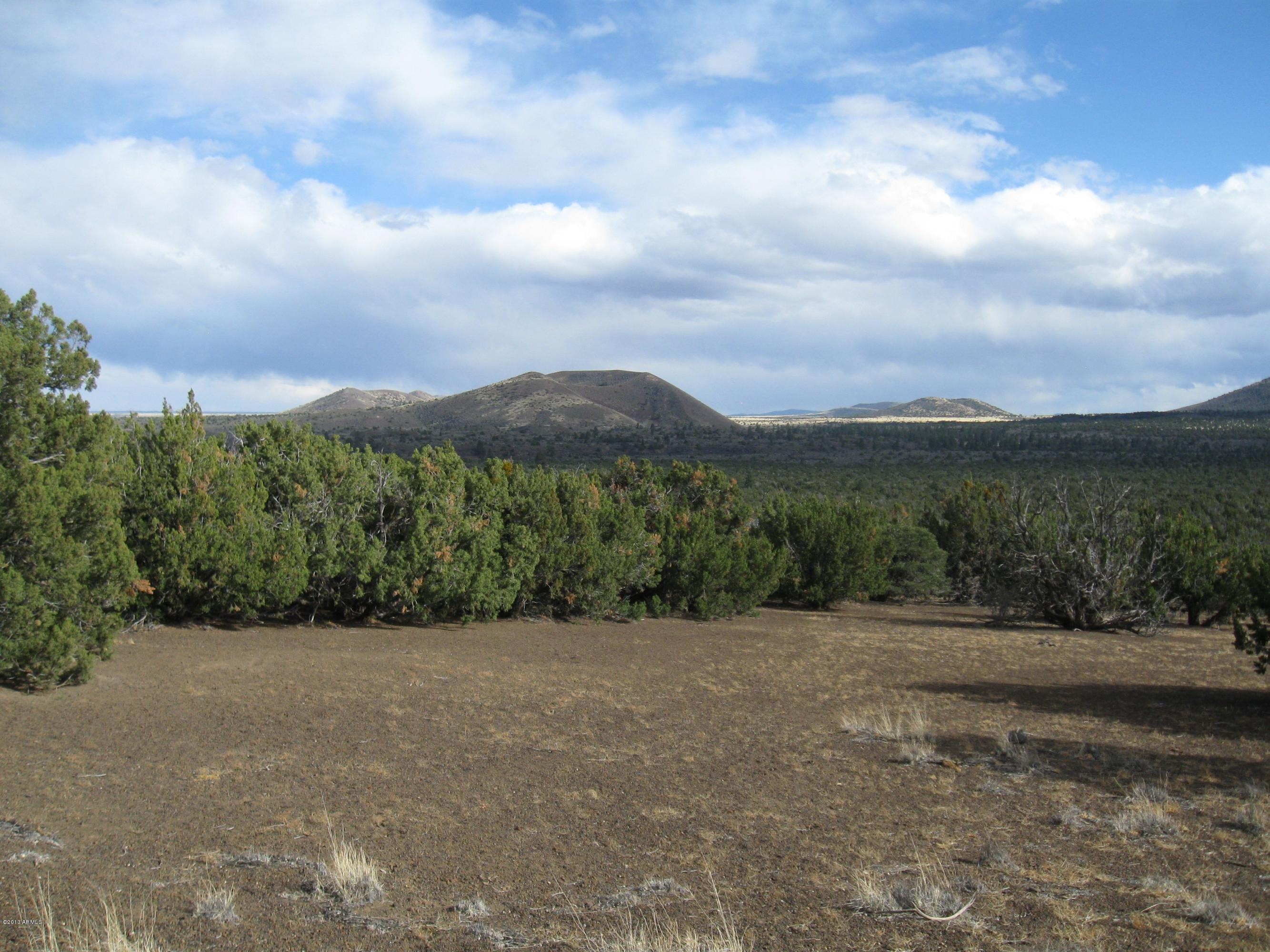 43007 A Alpine Ranches, Unit 11 Flagstaff, AZ 86004 - Photo 3 of 6 303-43-007-A Eastman parcel 5-2013 005 -