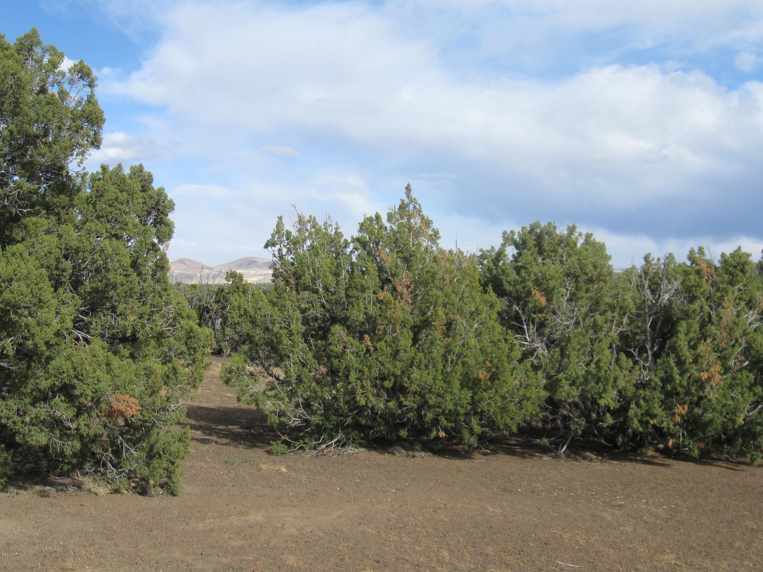 43007 A Alpine Ranches, Unit 11 Flagstaff, AZ 86004 - Photo 4 of 6 303-43-007-A Eastman parcel 5-2013 007 -