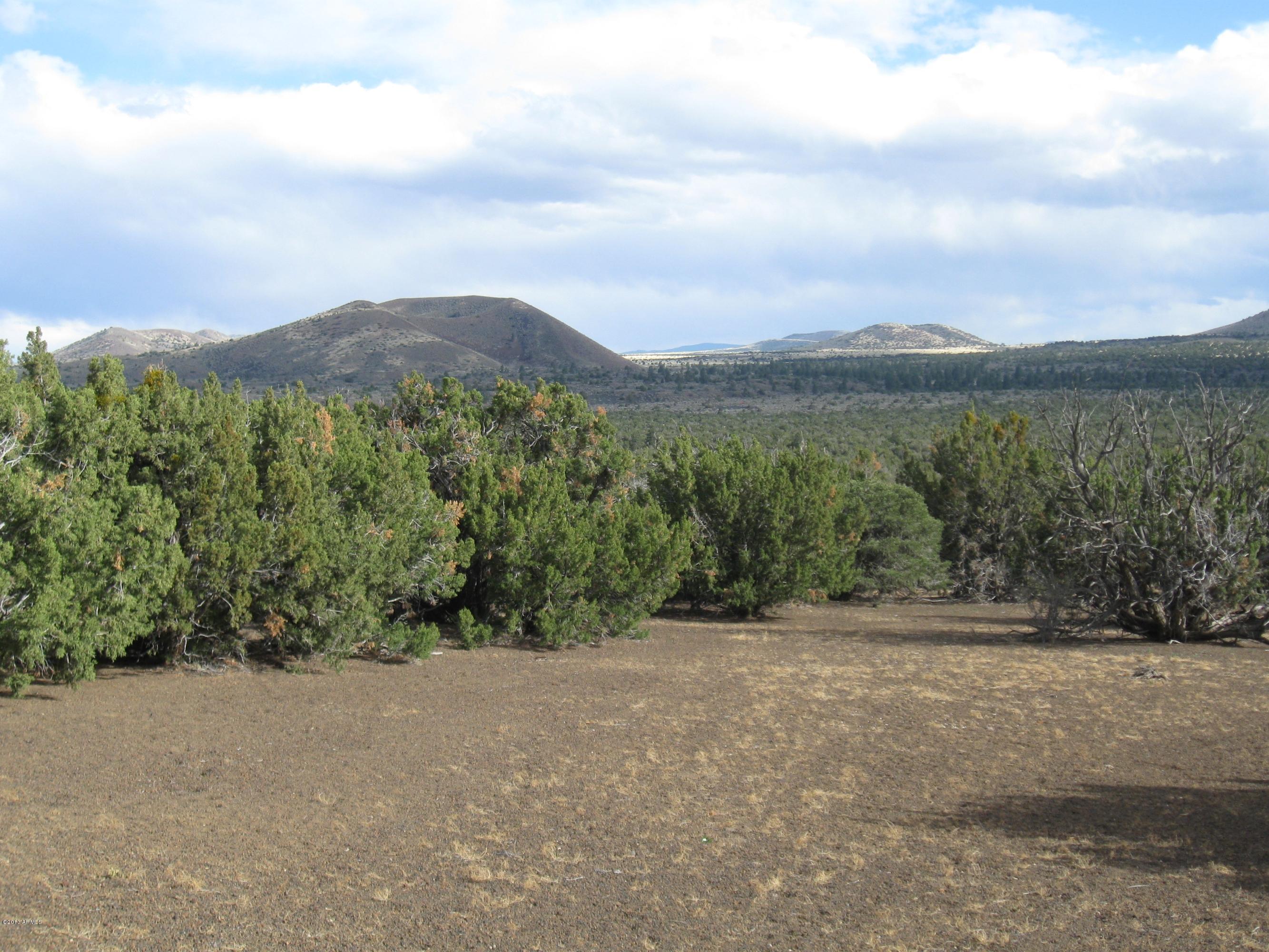 43007 A Alpine Ranches, Unit 11 Flagstaff, AZ 86004 - Photo 5 of 6 303-43-007-A Eastman parcel 5-2013 008 -