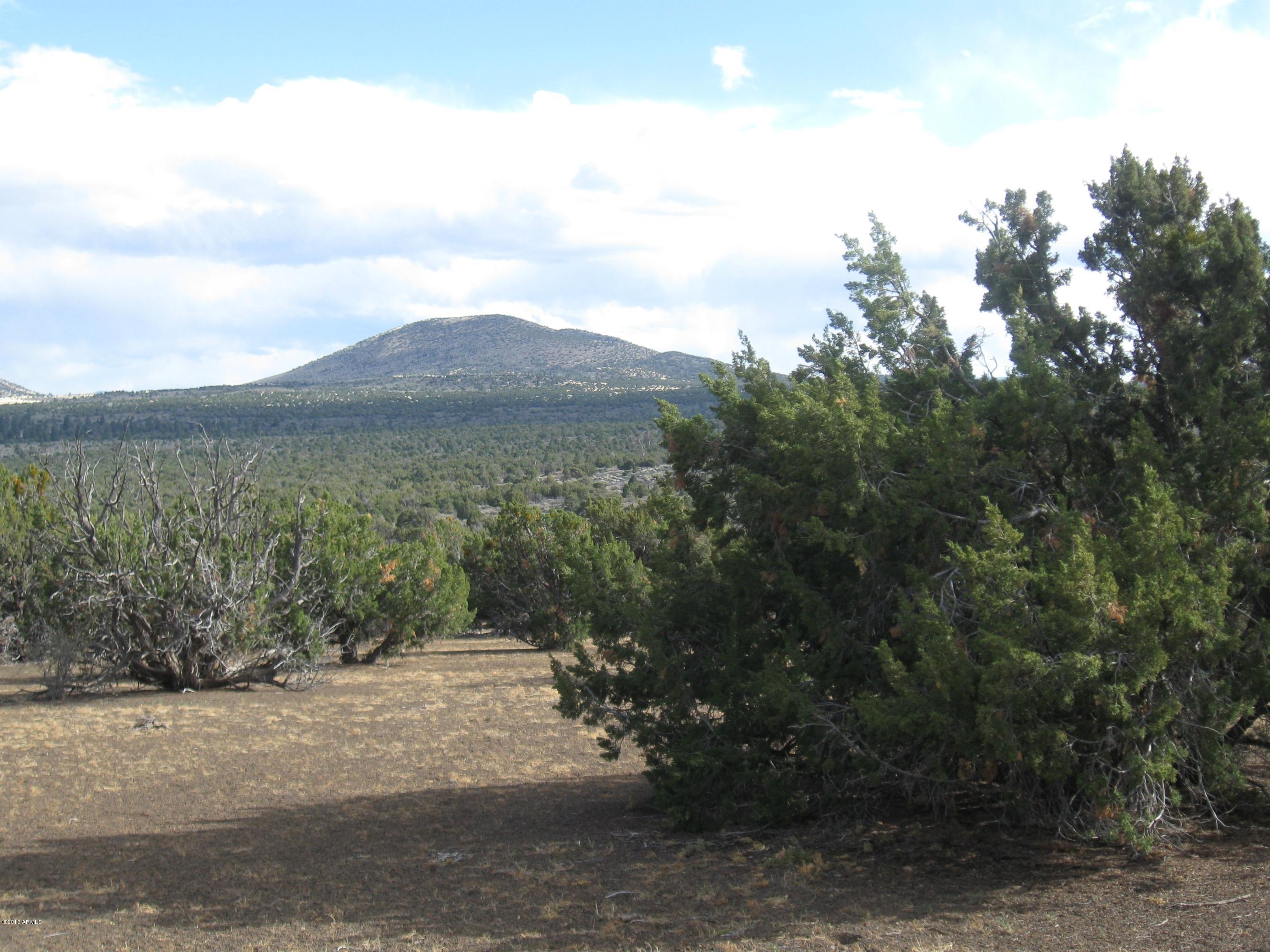 43007 A Alpine Ranches, Unit 11 Flagstaff, AZ 86004 - Photo 6 of 6 303-43-007-A Eastman parcel 5-2013 009 -