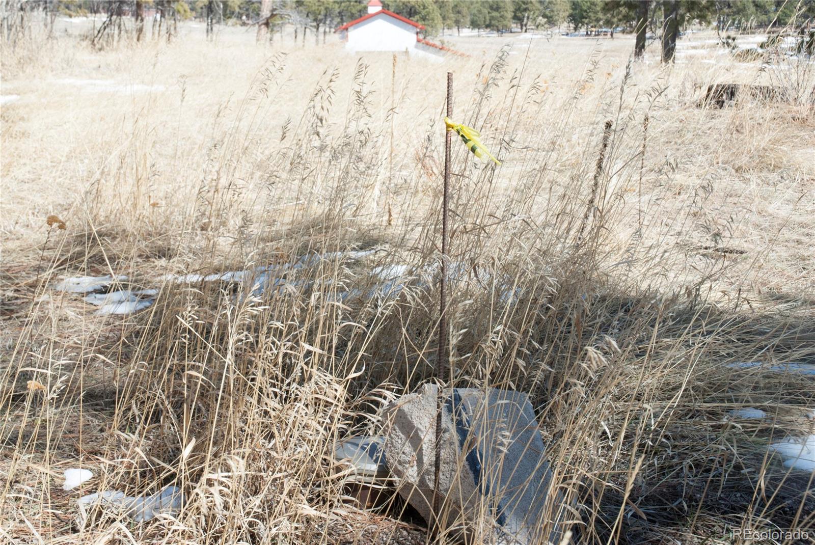 7420 Swan Road Colorado Springs, CO 80908 - Photo 17 of 24 Gallery Image 17