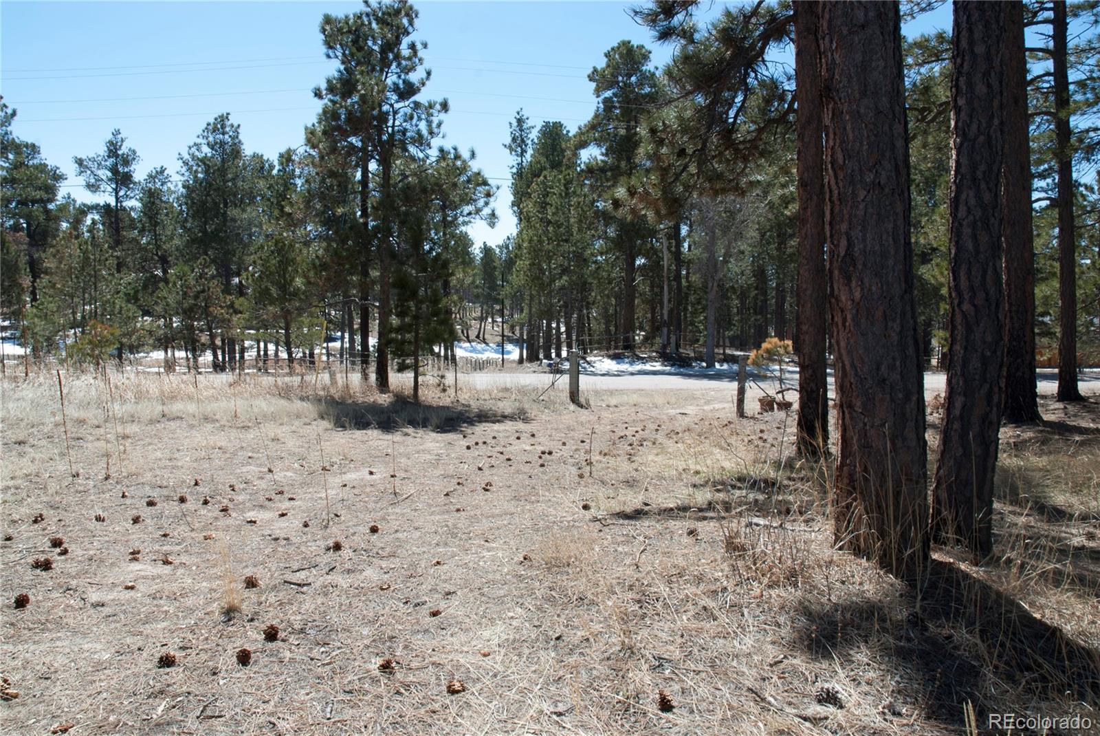 7420 Swan Road Colorado Springs, CO 80908 - Photo 2 of 24 Gallery Image 2