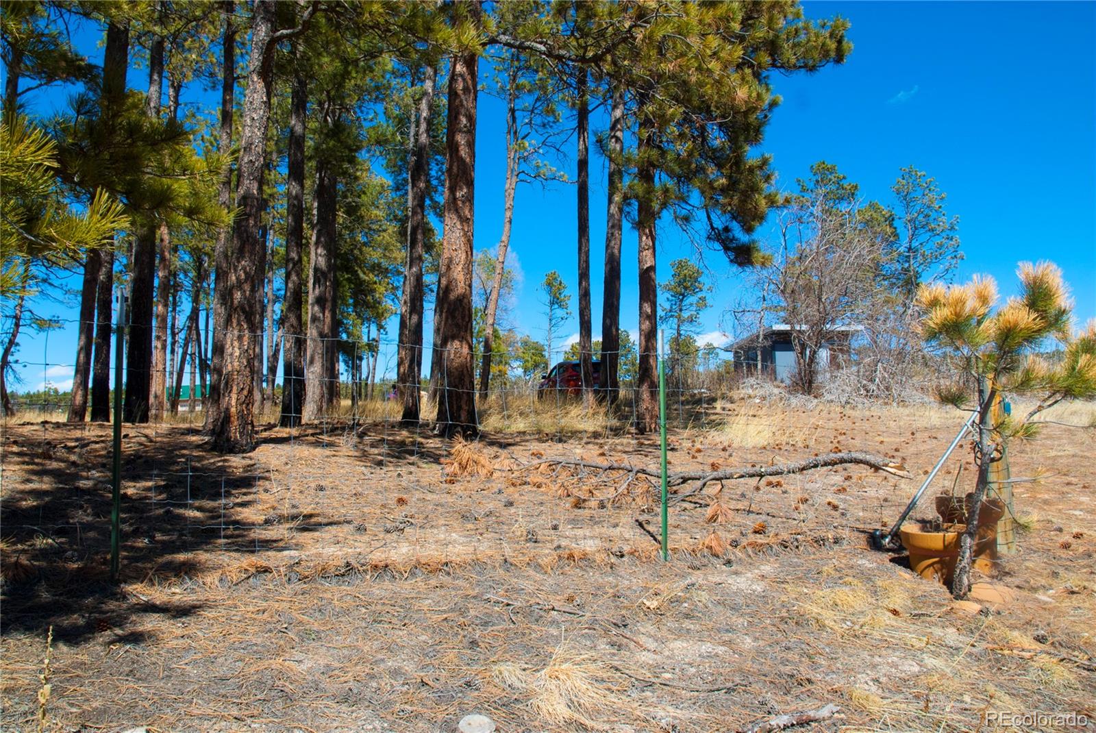 7420 Swan Road Colorado Springs, CO 80908 - Photo 3 of 24 Gallery Image 3