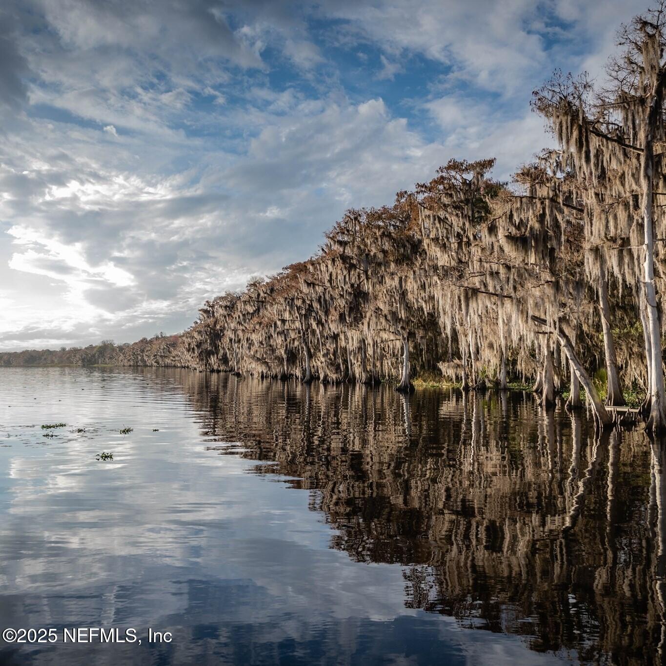 806 Paradise Boulevard Georgetown, FL 32139 - Photo 13 of 16