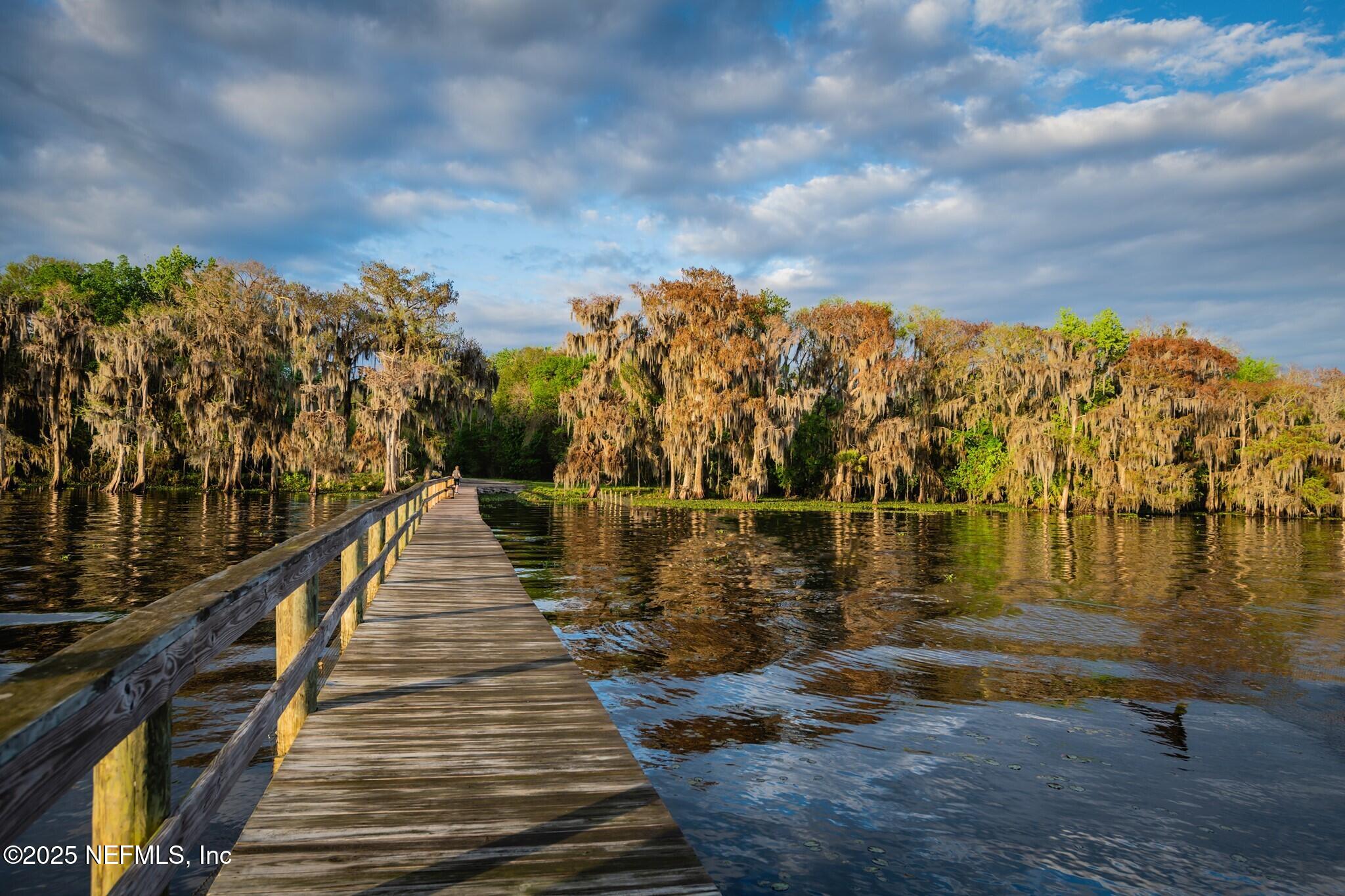 806 Paradise Boulevard Georgetown, FL 32139 - Photo 8 of 16 a view of lake