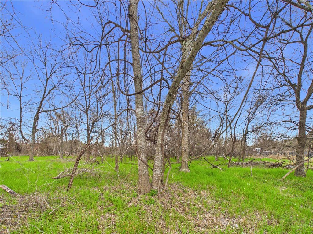 Tbd Railroad Road Somerville, TX 77879 - Photo 4 of 5