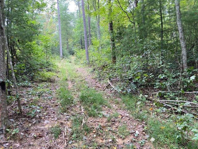 0 Hiram Branch Road Campton, KY 41301 - Photo 10 of 29 Photo 10