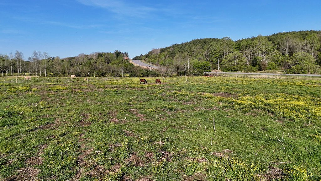 3872 Nc Highway Murphy, NC 28906 - Photo 10 of 19