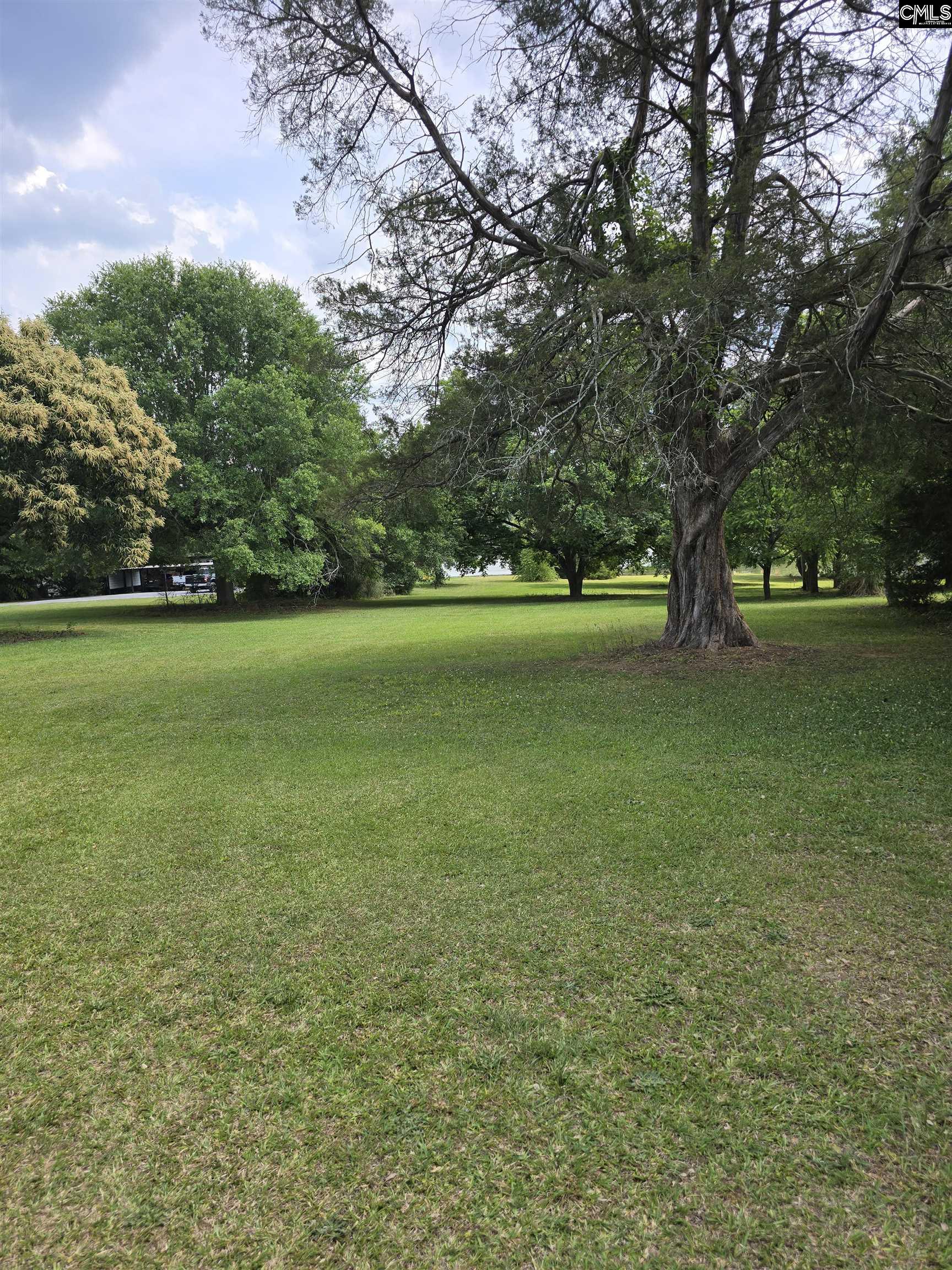 Tbd Harvest Road Saluda, SC 29138 - Photo 4 of 7