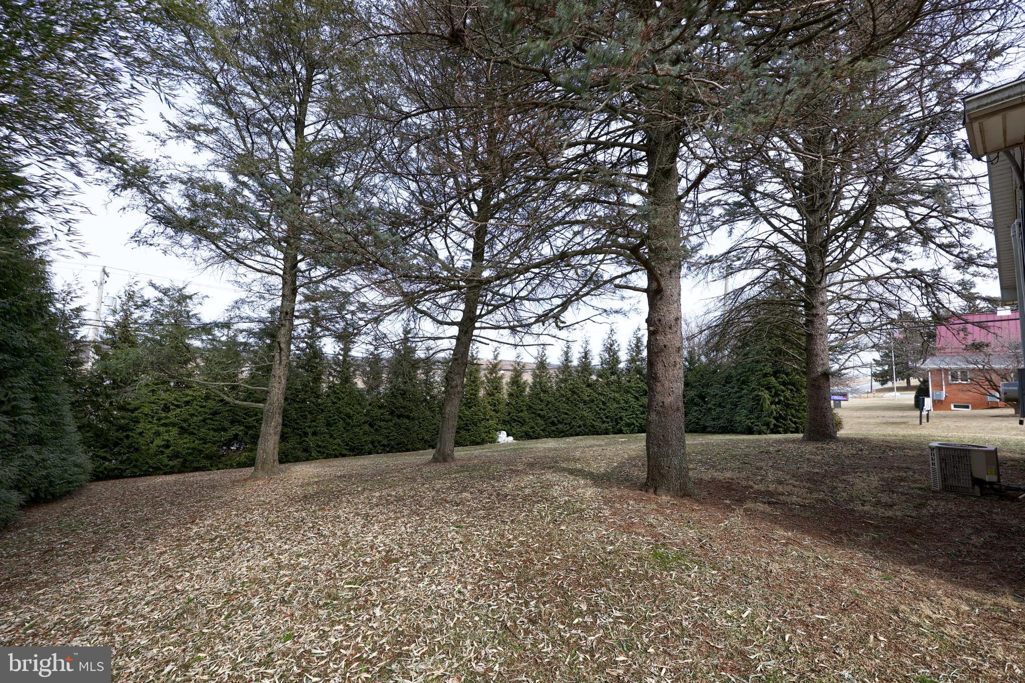 104 Shirktown Road Narvon, PA 17555 - Photo 8 of 50 Side yard