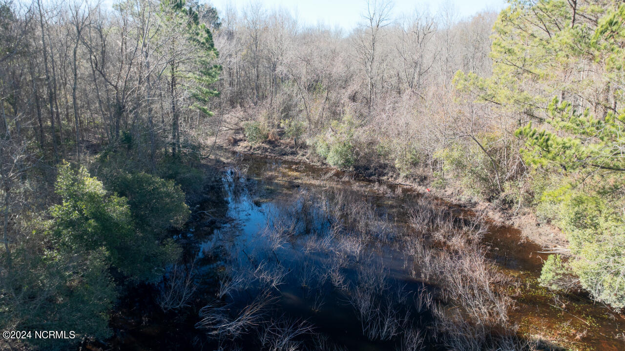 91 Rockfish Lake Road Maple Hill, NC 28454 - Photo 60 of 69 60