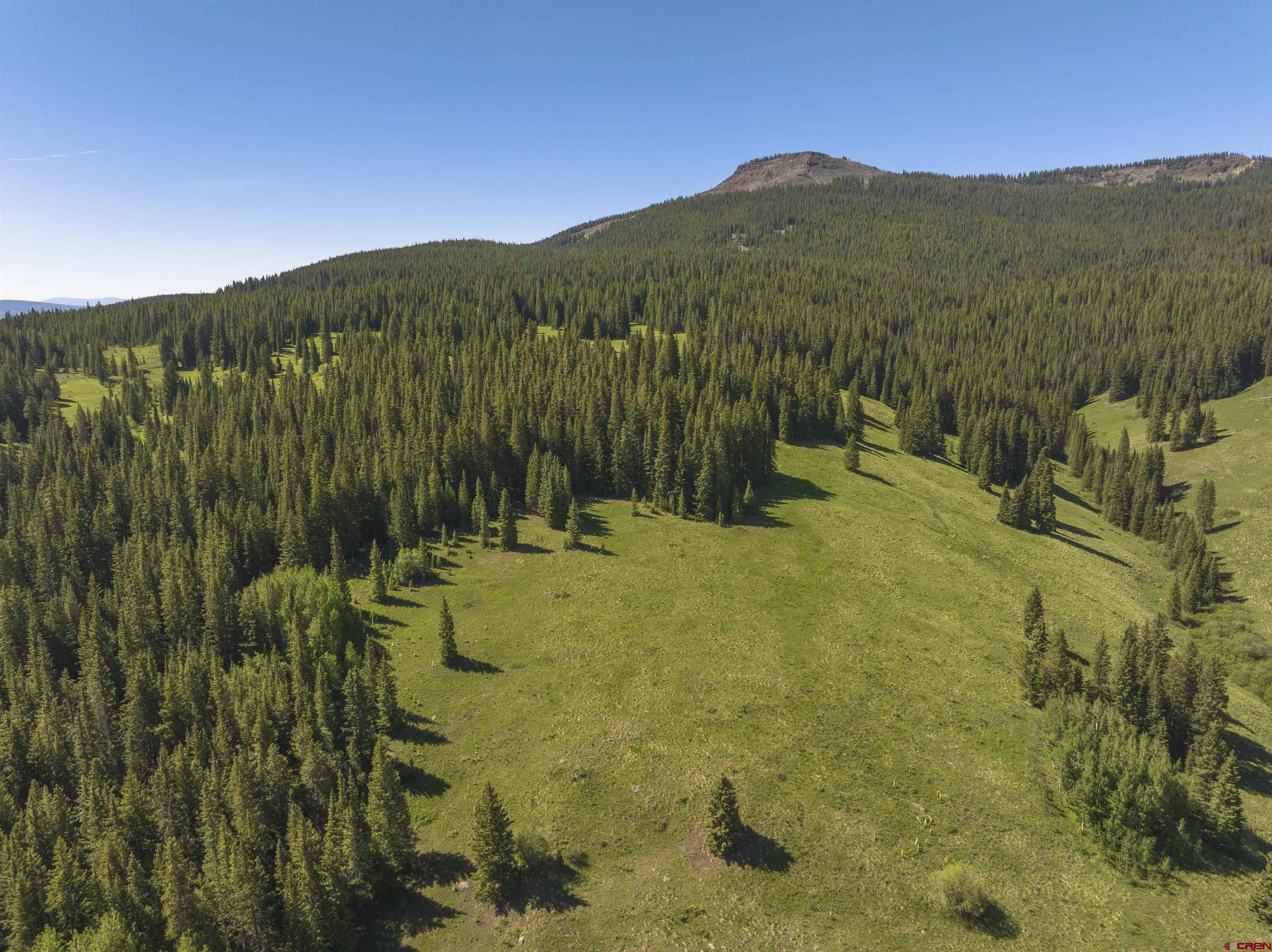 1371 Red Mountain Ranch Road Crested Butte, CO 81224 - Photo 35 of 41