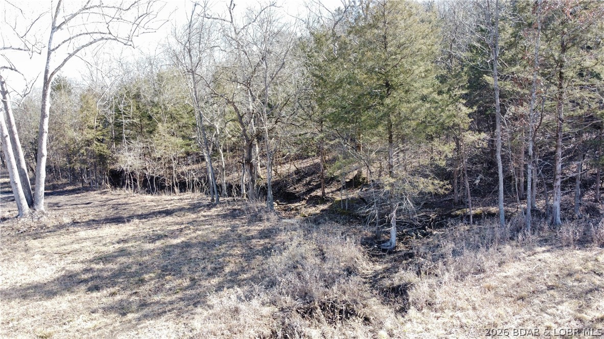 25-acres Lost Valley Road Warsaw, MO 65355 - Photo 12 of 16