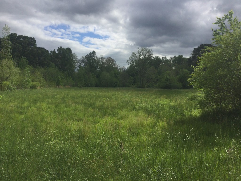0 Everett Springs Road Armuchee, GA 30105 - Photo 19 of 25 Gallery Image 19