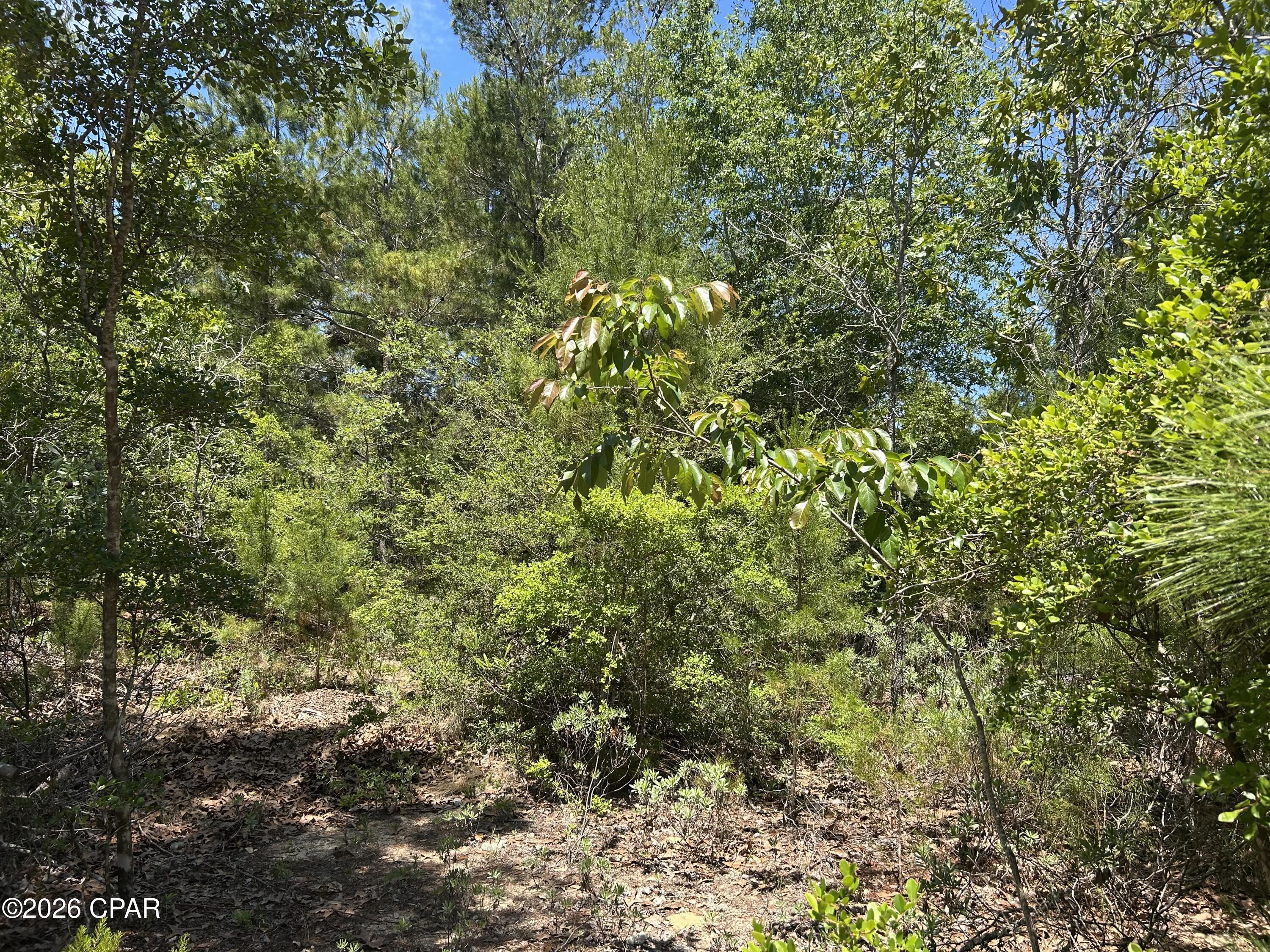 0 Bonnett Pond Road Chipley, FL 32428 - Photo 5 of 9