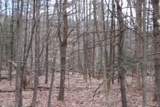 Strafford Road Barrington, NH 03825 - Photo 1 of 4 Gallery Image 1