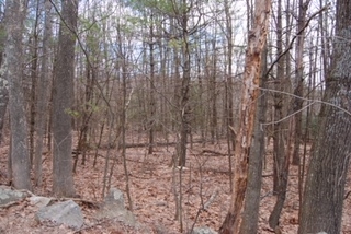 Strafford Road Barrington, NH 03825 - Photo 2 of 4 Gallery Image 2
