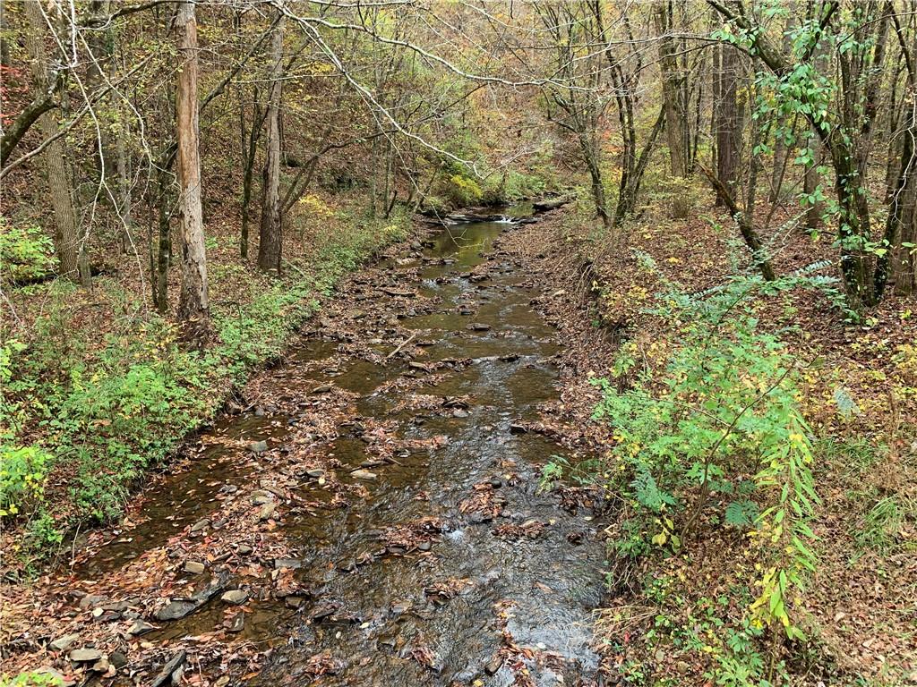 1219 Hilton Drive Ranger, GA 30734 - Photo 11 of 14 a view of a yard with plants and trees